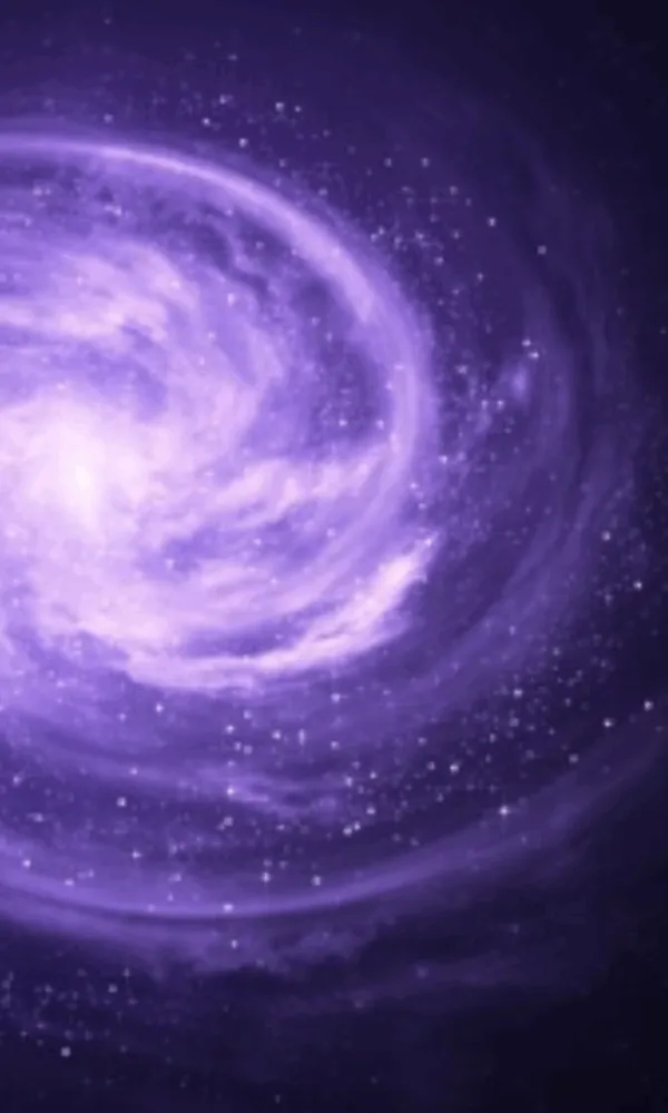 Ilustrasi jasa pembuatan software custom di Bogor untuk UMKM dan bisnis modern