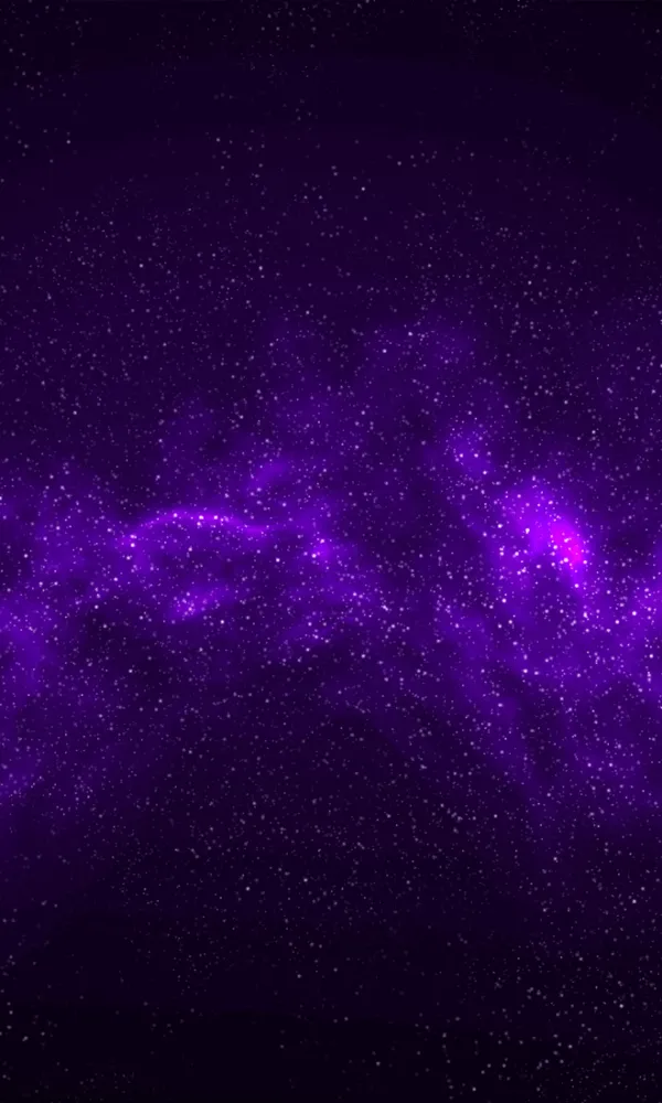 Tim Maxsamasta sedang mengelola Instagram bisnis klien