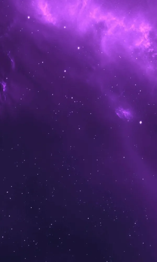 analisis perilaku konsumen untuk memahami kebutuhan pasar