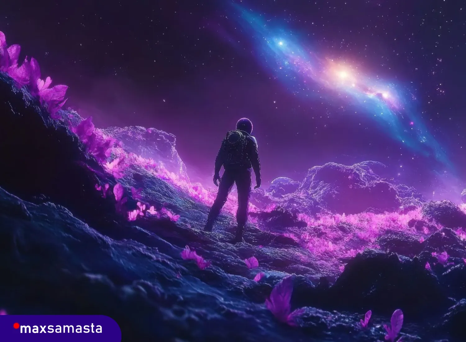 Proses Maintenance WordPress Rutin oleh Tim Maxsamasta