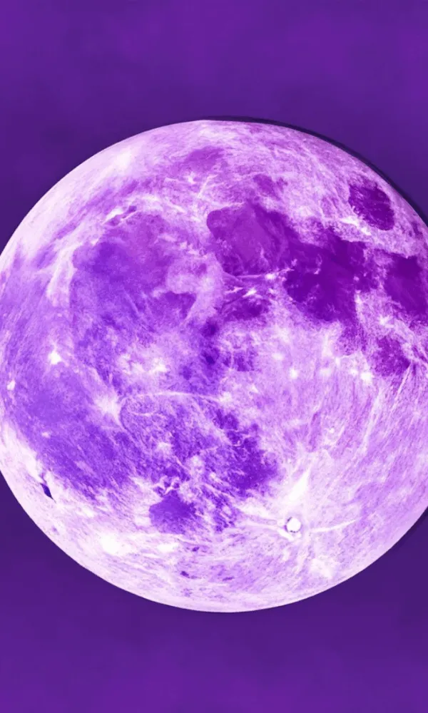 Optimasi Crawl Budget oleh tim Maxsamasta