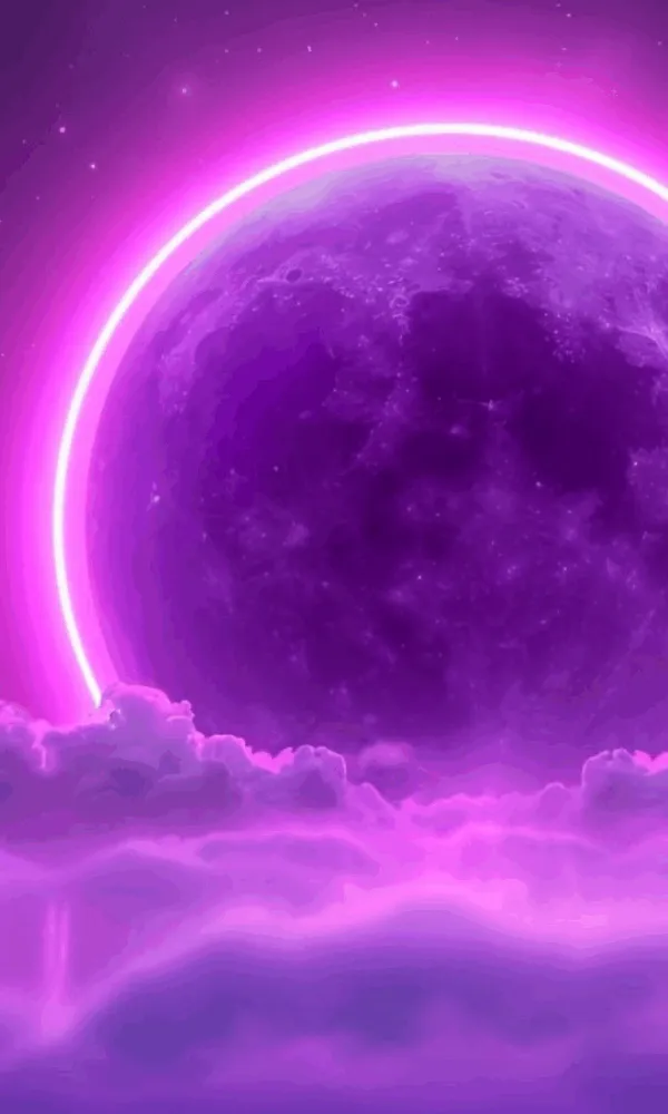 Strategi SEO Lokal Bogor oleh Maxsamasta