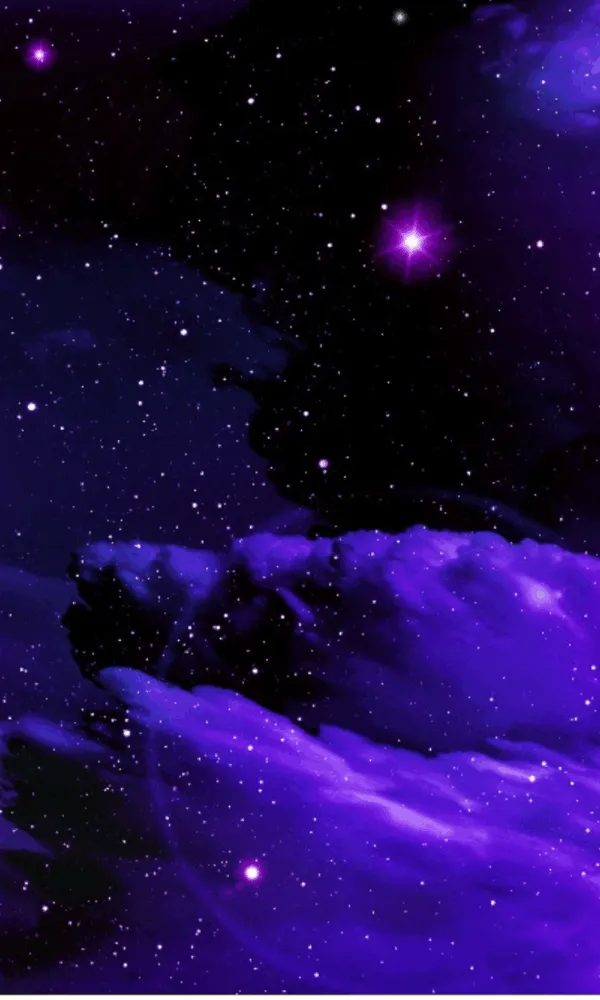 media interaktif membantu bisnis