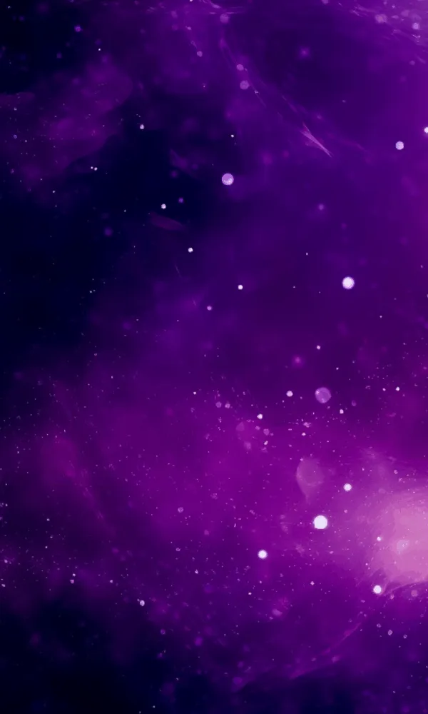 ilustrasi Layanan Web Developer